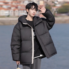 新标90白鸭绒连帽羽绒服时尚休闲简约百搭外套BL0617-P268，男装羽绒服，电商B306