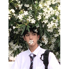 dk制服男纯棉白衬衫男短袖夏季宽松休闲大码半袖jk衬衣CS77-P48，男装衬衫，星座1007（原301D）