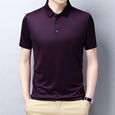 POLO衫男上衣半袖男装衣服男士体恤衫T恤潮牌休闲翻领爸爸短袖男，男装T恤，电商B212（原钱塘6029）