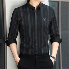 长袖衬衫男中年商务休闲春秋季新款男士条纹衬衣男2023年新款，男装衬衫，电商B212（原钱塘6029）