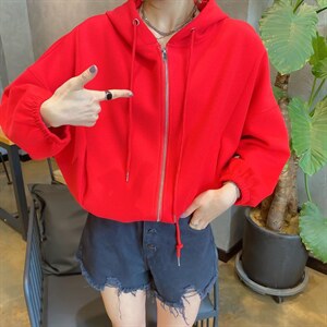 秋季新款外套图片