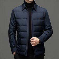 2023冬季新款男士商务休闲羽绒服中年加厚保暖立领纯色男装外套，男装羽绒服，电商B212（原钱塘6029）