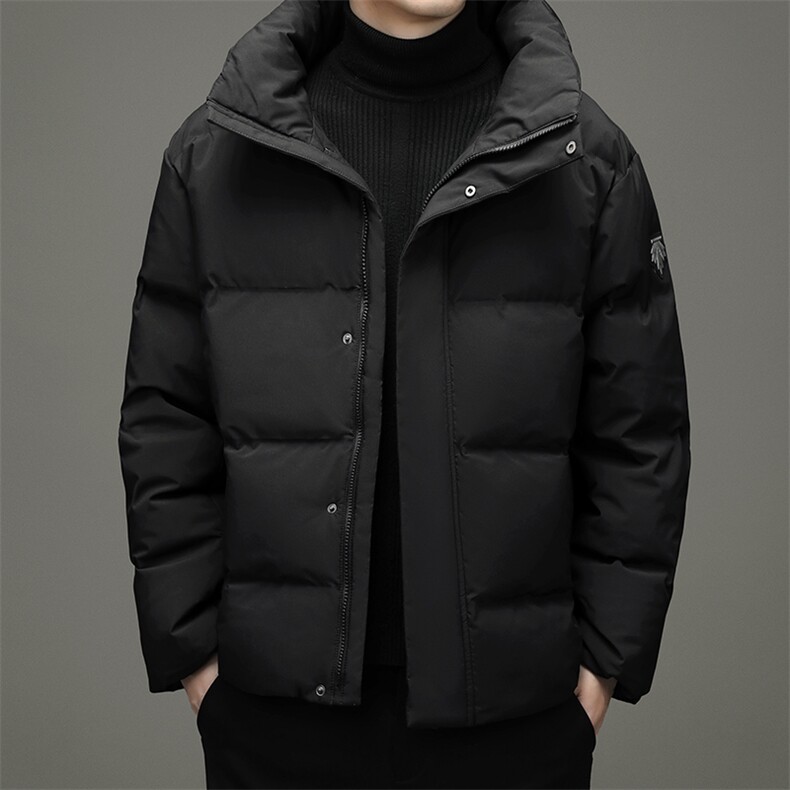 鹅绒羽绒服中青年男短款冬季休闲立领外套2023新款DFLDY5007-P290,男装羽绒服,电商B212（原钱塘6029）