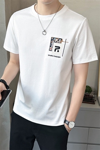 2025新款夏季男士短袖T恤高端刺绣潮牌圆领半袖 A313-5515-P48图片