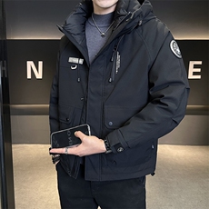 标50白鸭绒工装加厚外套2025新款男装羽绒服C317-Y6803-P215，男装羽绒服，电商C317