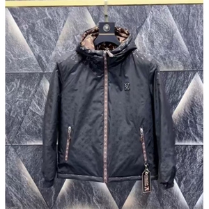 (网图)欧洲站潮牌连帽青年轻奢潮流休闲上衣棉服313B-JK5636-P100图片
