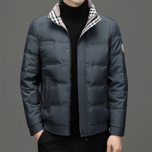 2023年新款羽绒服P220图片