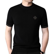 短袖T恤男绣标薄款圆领上衣2023夏季新款中年男士纯色休闲体恤衫，男装T恤，电商B212（原钱塘6029）