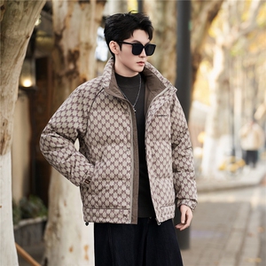 标50白鸭绒大货男装羽绒服B317-5518-P195图片