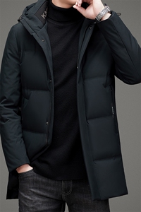 冬季男士连帽羽绒服中青年男装宽松90%白鸭绒保暖外套ZL6708-P275图片