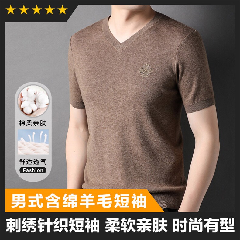 中高端男装大货男士V领基础针织衫T恤短袖长期款图片