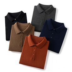 2025年秋季POLO领长袖时尚百搭通勤休闲，男装羊毛衫，朝思纯山羊绒