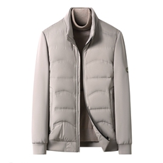 2025冬新款羽绒服男短款立领拼接袖时尚休闲保暖御寒外套面包服潮，男装羽绒服，电商B212（原钱塘6029）