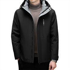 BZC2366钱塘2020-2新款时尚休闲简约冬季厚款中年男士羽绒服P240，男装羽绒服，钱塘207-2