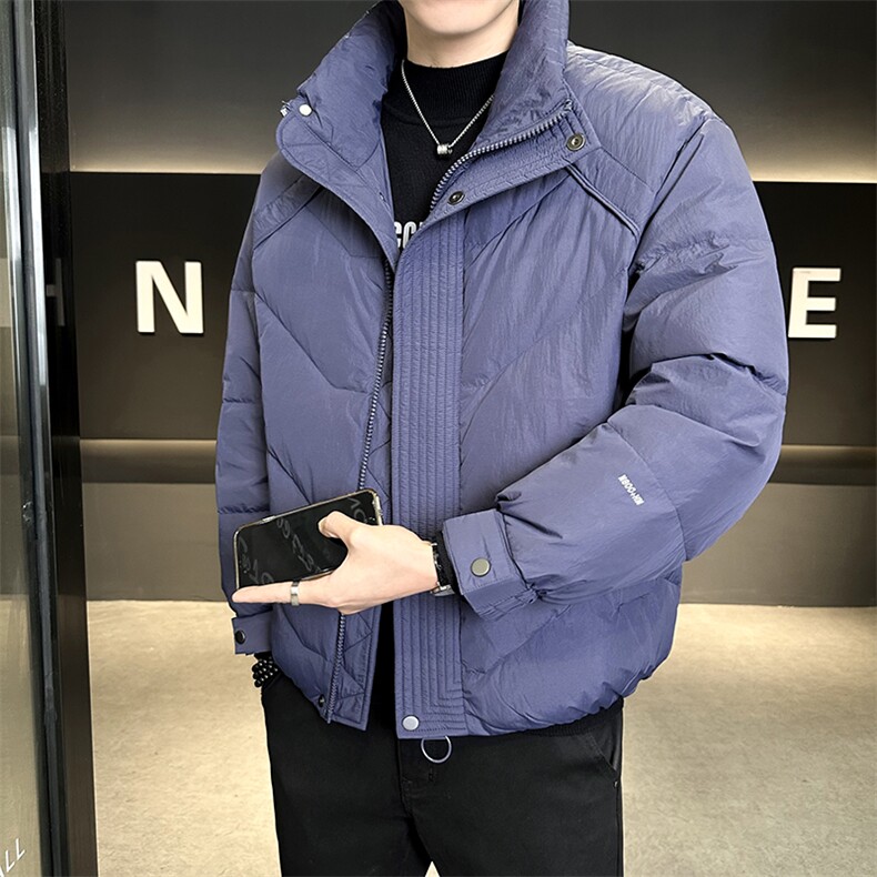 90%标白鸭绒2025冬季立领休闲短款加厚羽绒服外套M8752-P290,男装羽绒服,电商A413