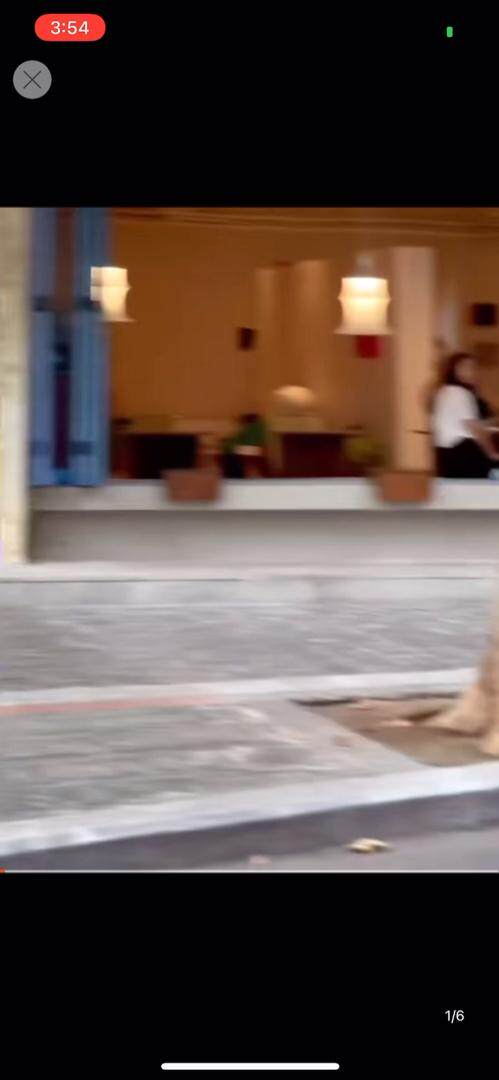 西装阔腿裤，女装西装，欧妮卡蒂蔓