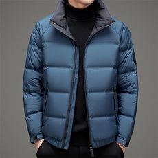 2023年冬季新款商务休闲羽绒服中青年男士立领外套MSNA88616-P245，男装羽绒服，电商B212（原钱塘6029）
