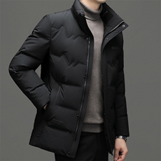 2023冬季新款男士商务休闲立领羽绒服中年爸爸装加厚保暖外套，男装羽绒服，电商B212（原钱塘6029）