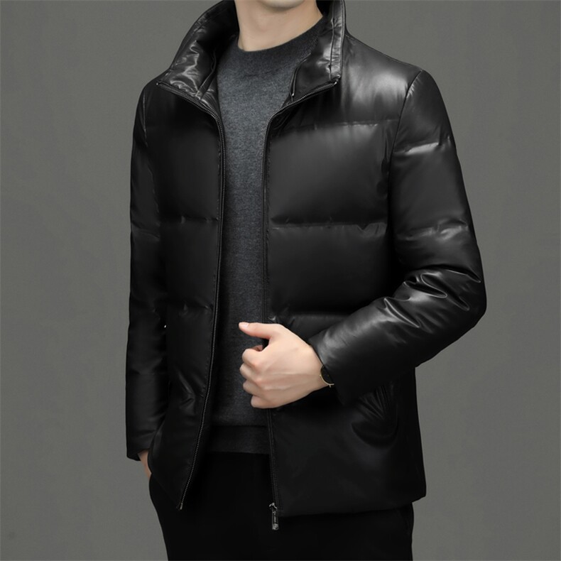 BH2222钱塘2020-2中年男士秋冬季新款时尚休闲简约羽绒服P185,男装羽绒服,钱塘207-2