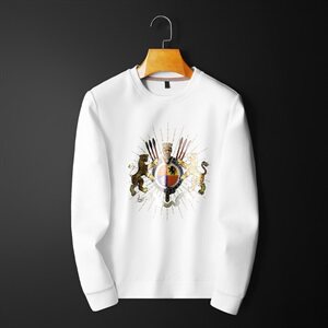 2021秋冬新款男士套头大码卫衣 QT711 3041 P95 M-6XL 平铺图片
