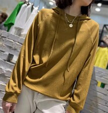 12色春季帽衫卫衣，女装卫衣/绒衫，金子