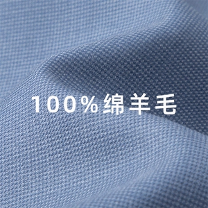 男装衬衫F83157主推100&羊毛90支2股高支男士长袖衬衫正装商务图片