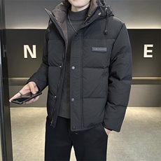 店主风2025年新款时尚连帽潮流保暖羽绒服男A236-G992-P215，男装羽绒服，电商A236