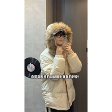 米杏
