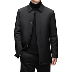 羽绒服中年男常规款冬季商务休闲翻领外套新款DFLDY16001-P245，男装羽绒服，电商B212（原钱塘6029）