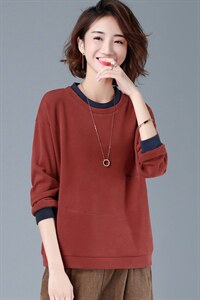2021年春季新款潮韩版套头圆领卫衣女长袖气质休闲百搭打底衫女棉图片