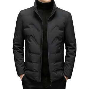 羽绒服外套男立领商务休闲中年男装冬季中老年爸爸装ZL6107-P195图片 羽绒服外套男立领商务休闲中年男装冬季中老年爸爸装ZL6107-P195图片