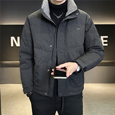 新标90绒立领羽绒服男冬季2025新款保暖外套A313-26017-P275，男装羽绒服，电商A313