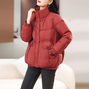 长期有货立领羽绒服短款2024冬季新款宽松加厚白鸭绒外套女图片