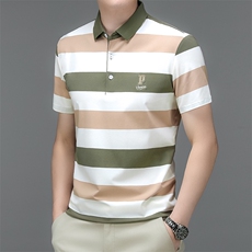 2023夏季新款短袖t恤男士休闲保罗polo衫中年翻领体恤修身上衣服T，男装T恤，电商B212（原钱塘6029）