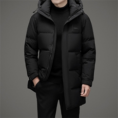 DAJ8802钱塘2020-2冬季新款厚款时尚休闲中年男士羽绒服外套P270，男装羽绒服，钱塘207-2