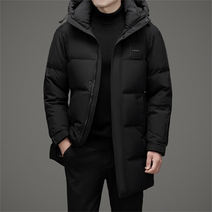 DAJ8802钱塘2020-2冬季新款厚款时尚休闲中年男士羽绒服外套P270图片
