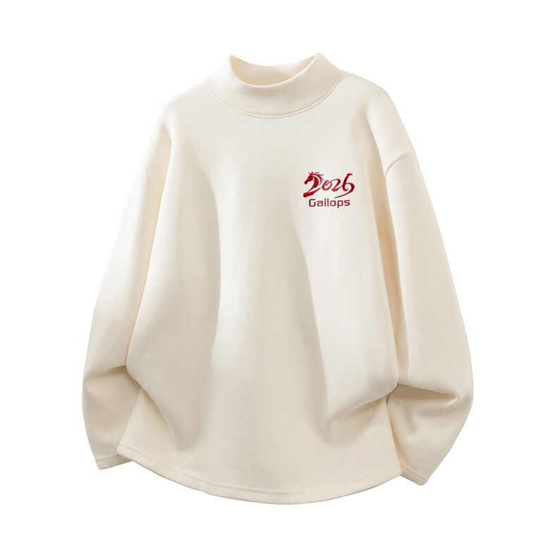 现货/新款重磅半高领刺绣德绒长袖B219A-DR2509-P25/DR2509JR-P35，男装卫衣，电商B219A