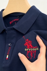 夏季保罗POLO衫男士短袖T恤纯棉休闲翻领宽松半袖中年男装体恤衫，男装Polo衫，电商B212（原钱塘6029）
