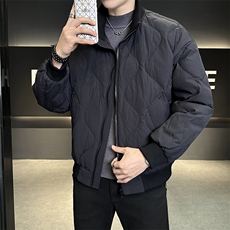 新标90绒2025设计师款简约休闲保暖立领羽绒服外套男6678-P240，男装羽绒服，电商A413