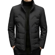 羽绒服外套男立领商务休闲中年男装冬季中老年爸爸装ZL6107-P195,男装羽绒服,电商B212（原钱塘6029）
