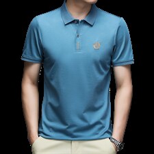 翻领短袖T恤男士上衣22夏季新款百搭大众休闲服潮流纯色体恤男装，男装T恤，电商B212（原钱塘6029）