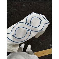 网图现货美式宽松刺绣长袖纯棉T恤打底衫1079/特P40，男装T恤，星座205-3