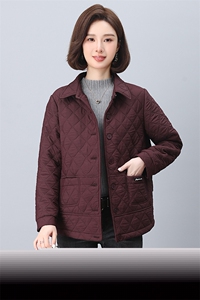 2024年秋冬季新款翻领加绒棉衣棉服女休闲百搭韩版保暖加绒外套图片