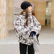 新中式国风水墨印花立领短款羽绒服女冬2025年新款独特超好看外套，女装羽绒服，2C085