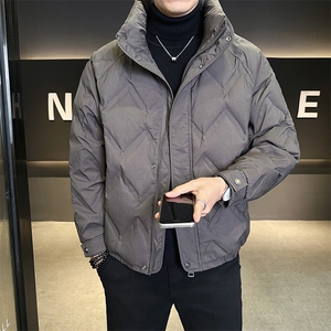 标50绒男士立领短款羽绒服休闲保暖外套B338-88159-P225
