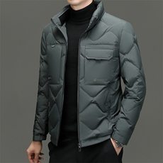 DF23163钱塘2020-2新款冬季时尚百搭立领简约中年男士羽绒服P243，男装羽绒服，钱塘207-2