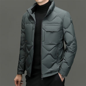 DF23163钱塘2020-2新款冬季时尚百搭立领简约中年男士羽绒服P243图片