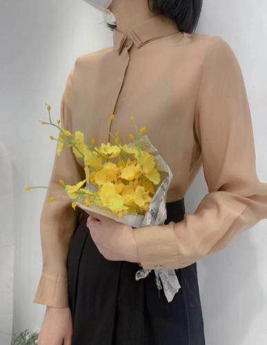 春季新款天丝衬衫，女装衬衫，影白