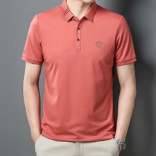 2023夏季新款男士短袖T恤翻领薄款POLO衫商务休闲宽松T恤爸爸夏装，男装T恤，电商B212（原钱塘6029）