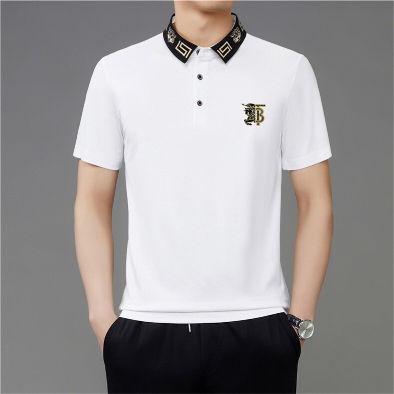 短袖T恤男士上衣服翻领百搭POLO大众商务半袖休闲服潮流纯色保罗,男装T恤,电商B212（原钱塘6029）